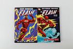 Lot of Various Flash Trade Paperbacks and Hardcover Book. Including Hardcover: The Flash: The Image - 5