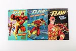 Lot of Various Flash Trade Paperbacks and Hardcover Book. Including Hardcover: The Flash: The Image - 7