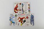 Lot of Various Flash Trade Paperbacks and Hardcover Book. Including Hardcover: The Flash: The Image - 14