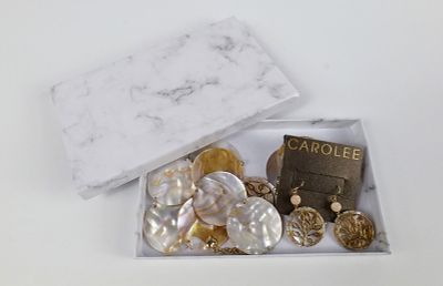 Abalone Disc Necklace and Earrings Set by Carolee. The lot includes a matching necklace and 