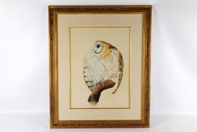 Framed Watercolor Barn Owl by E Darrell Smith. Framed Watercolor by E Darrell Smith. Depicting 