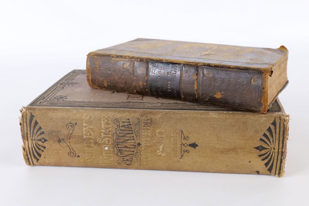 Lot 220: Lot of 19th Century Books