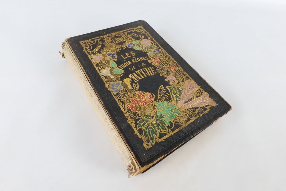 Lot 222: Antique 1852 French Book - The Three Kingdoms of Nature Botany