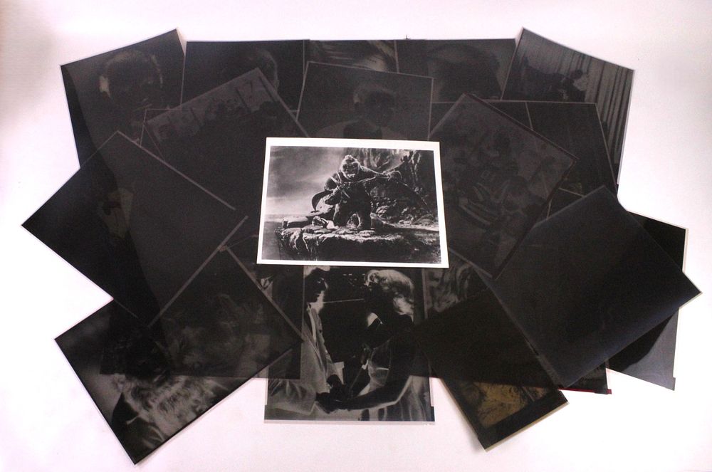 Lot 313: Lot of 18 Original Celebrity Negatives by Gustavo Parras