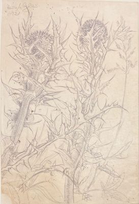 Ari (Erich) Glas (German - Israeli, 1897-1973) - Pencil drawing on paper 19X12 signed