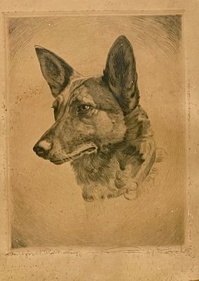Unidentified artist - German Shepherd
. etching 24X18 signed and framed