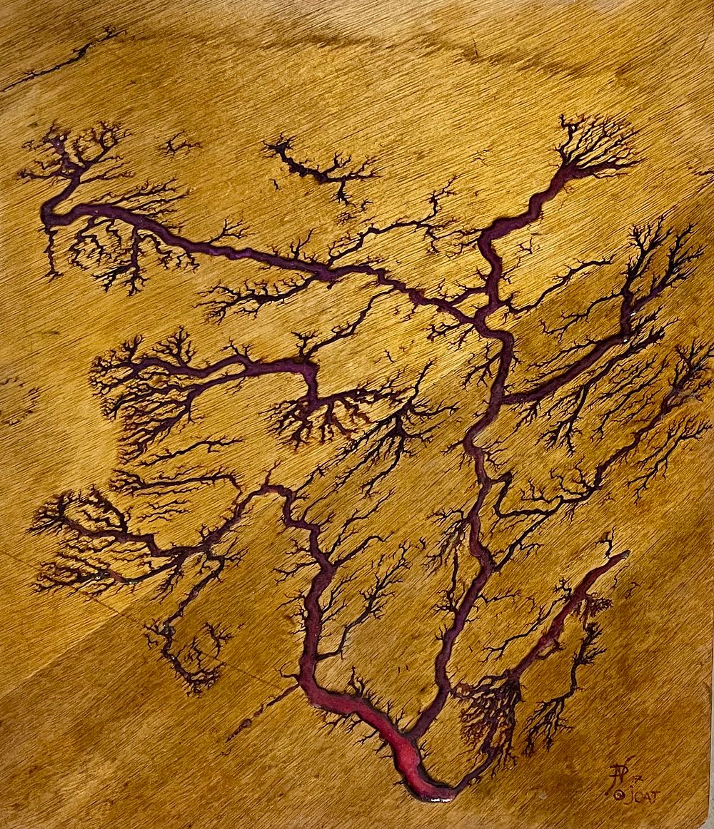 Nadav Parzanchevski - exciting!. Lichtenberg on wood 45X38 signed 
Nadav Parzanchevski developed a 