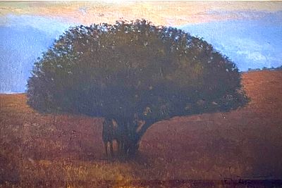 Unidentified artist - שמן על קרטון 27X20 חתום וממוסגר