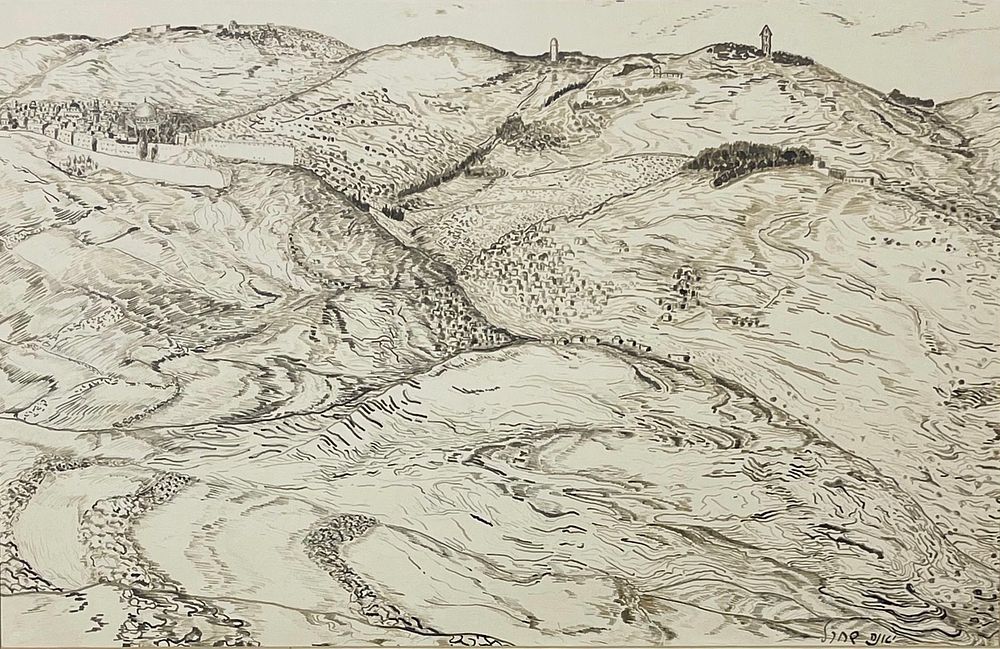 Jane Hillman-Schacherl - Mountains and Walls of Jerusalem. Ink on paper 45X30, signed Jana 