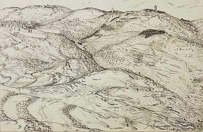 Jane Hillman-Schacherl - Mountains and Walls of Jerusalem. Ink on paper 45X30, signed Jana 