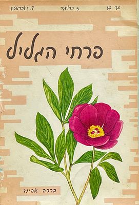 Bracha Levi Avigad - Flowers of Galilee. The Flowers of the Galilee Booklet, illustrations: Bracha 