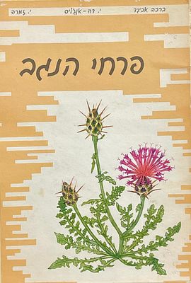 Bracha Levi Avigad - "Negev Flowers Binder – 27 Wild Flowers" – Illustrations by Bracha Avigad (1978). 