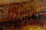 Unidentified artist - Oil on canvas, signed, framed and dated 1909Image - 1