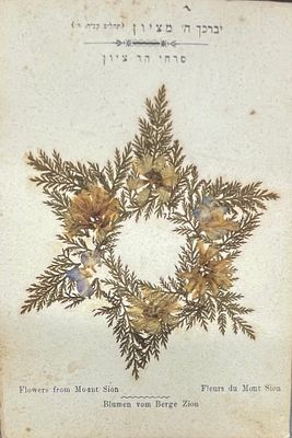 Album "Flowers of the Holy Land", a collection of flowers from the holy places in the Holy 