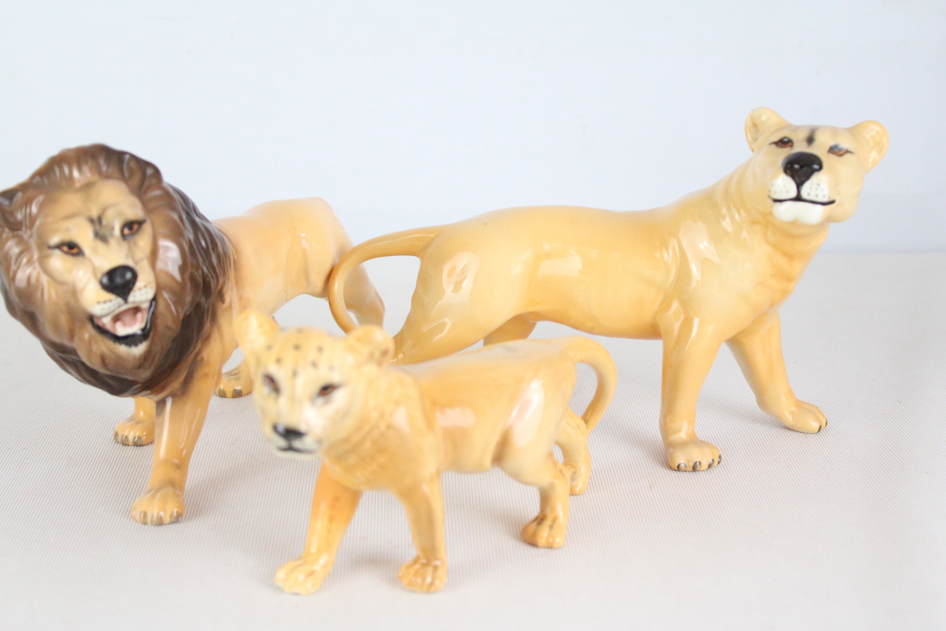 Besiwck lion, lioness & cub