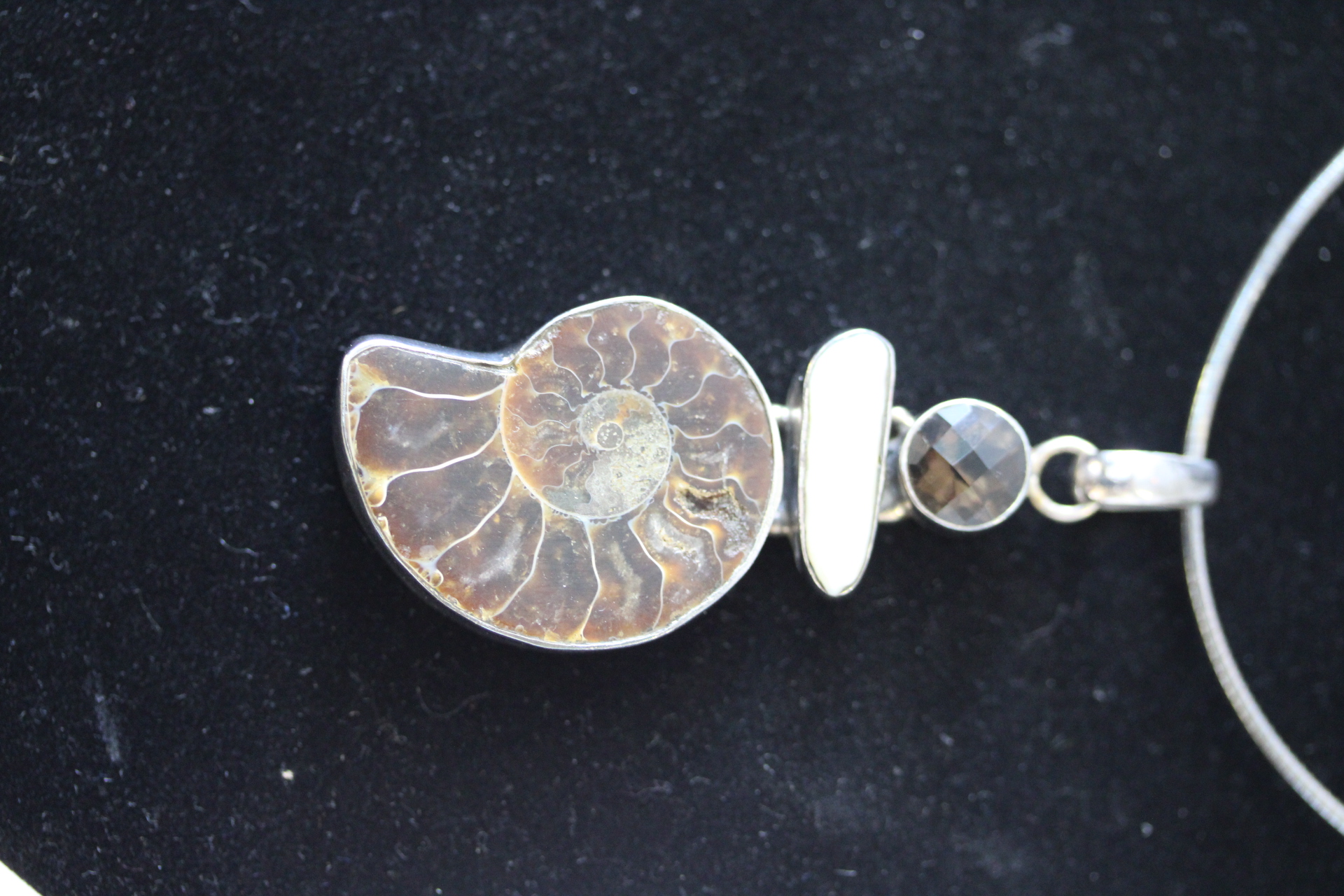 Silver chain & pendant set with polished Ammomite fossil