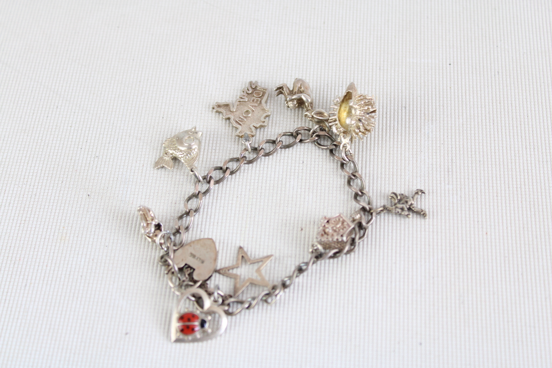 Silver charm bracelet - 9 charms