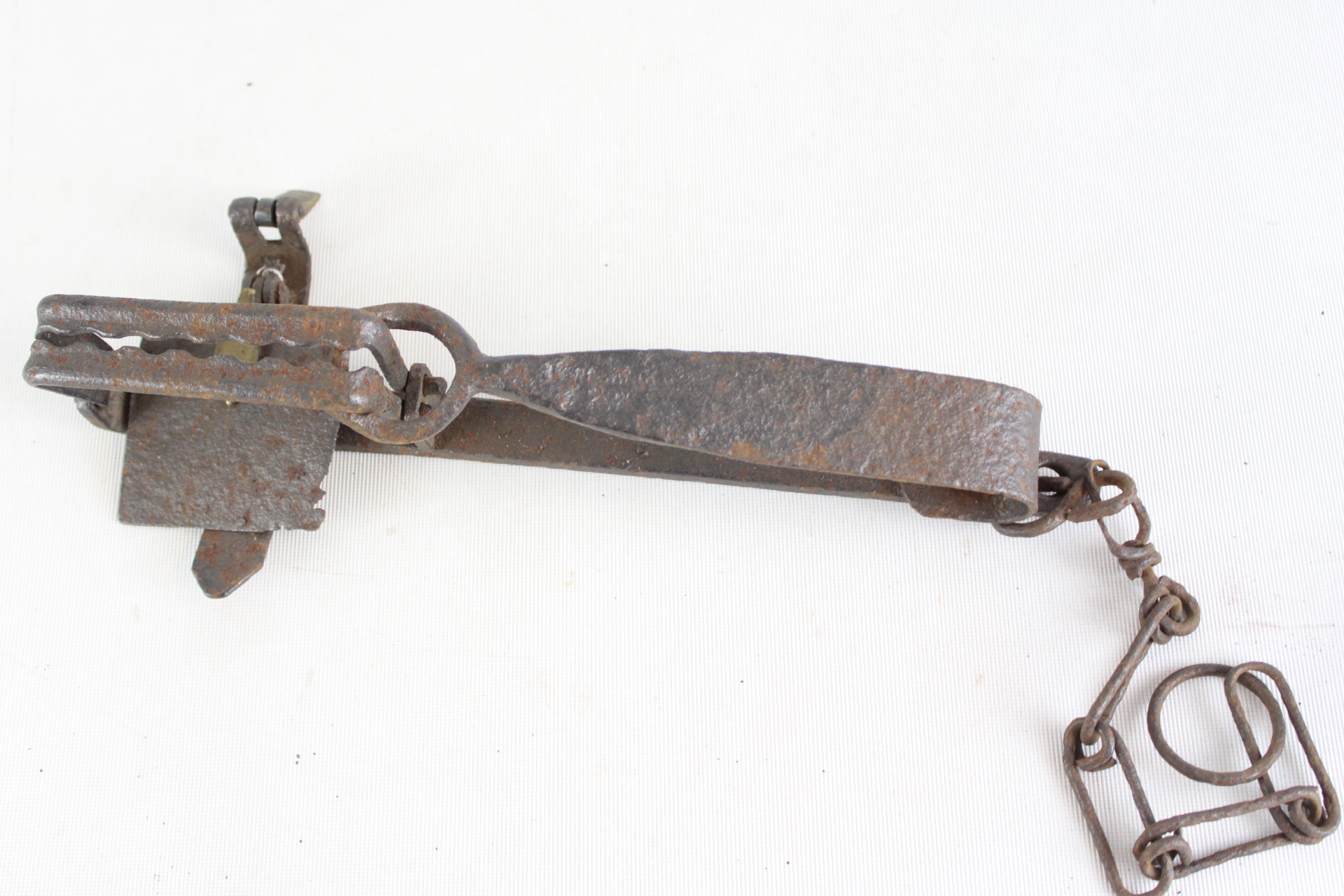 Antique Forged Iron Toothed Jaw Gin Trap with Chain