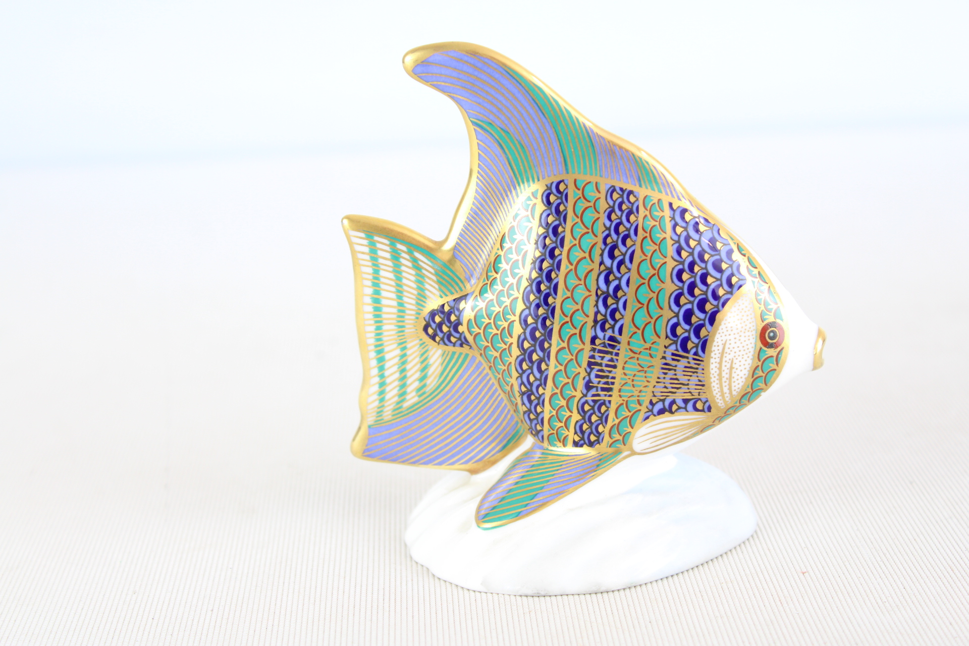 Royal crown derby tropical angel fish firsts
