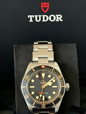 Tudor Black Bay 58 Ed Sheeran Mathematics Tour Crew Limited Edition Reference M79030N-0028. This 