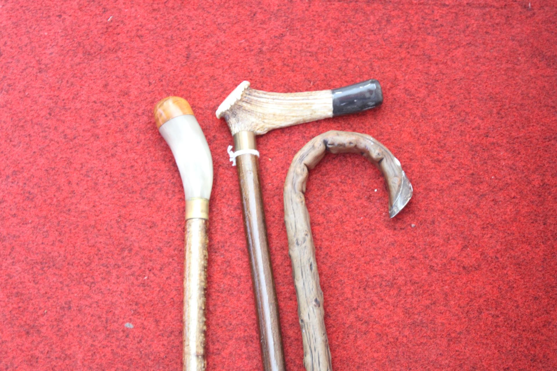 Three Antique Horn and Antler Walking Sticks - Handle Tip A.F