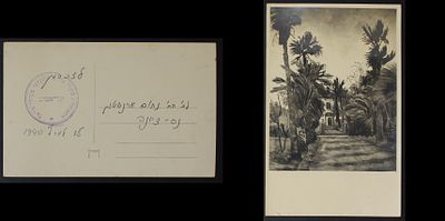 גלויה נדירה יחסית של מקוה ישראל, ניתנה כזיכרון ב1940 לחברו של הנותן בנס ציונה , בנוסף יש חותמת 