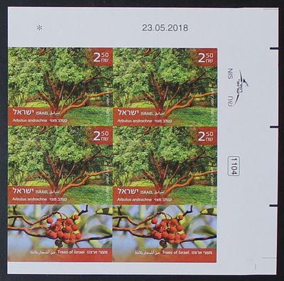 ישראל בולים , 2018 , קטלב מצוי - שייך לסדרה מעצי ארצנו , רביעיית בולים מהצד הימני של הגיליון ( 