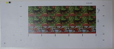 ישראל בולים , 2018 , קטלב מצוי - שייך לסדרה מעצי ארצנו , גיליון בולים מלא ללא ניקוב . נדיר מאד. 