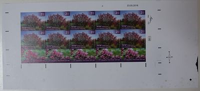 ישראל בולים , 2018 , כליל החורש - שייך לסדרה מעצי ארצנו , גיליון בולים מלא ללא ניקוב . נדיר מאד. 