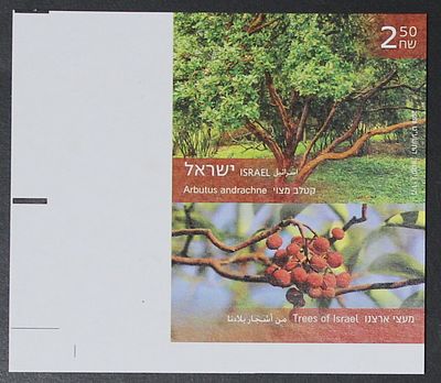 Israel Stamps , 2018 , Common Kettle - belongs to the series of Trees of Our Country, An 