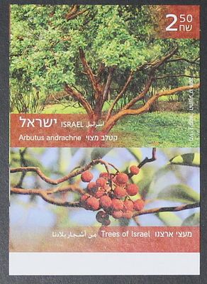 Israel Stamps , 2018 , Common Kettle - belongs to the series of Trees of Our Country, An 