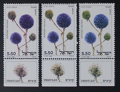 Israel Stamps, Thorns, Three Stamps with Color Difference Error. The Scans are a Part of the 