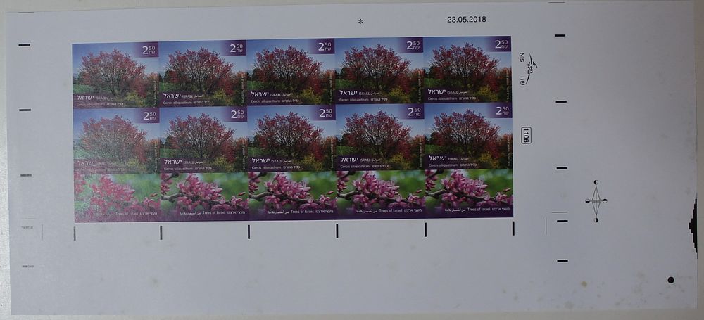 Israel Stamps, 2018, Clil Hahoresh - belongs to the series "Trees of Our Country", Full Imperf 