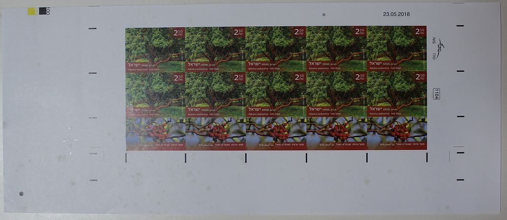 Israel Stamps, 2018, Common Kettle - belongs to the series "From the Trees of Our Country" 