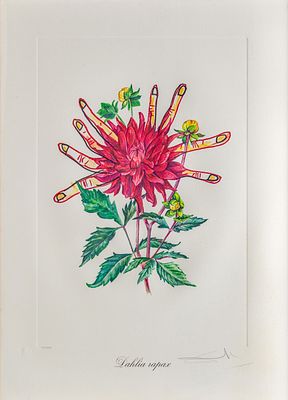 Salvador Dal&iacute; (1904 - 1989) Dahlia Rapax - Salvador Dal&iacute; (1904 - 1989) Dahlia Rapax 