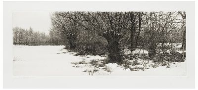 Livio Ceschin (1952) Nevicata sui campi, 1997 - Livio Ceschin (1952) Nevicata sui campi, 1997 