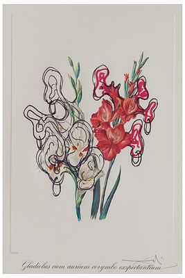 Salvador Dal&iacute; (1904 - 1989) Gladiolus cum aurium corymbo exspectantium, 1972 - Salvador 