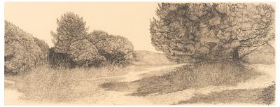 Livio Ceschin (1962) Estate in pineta - Livio Ceschin (1962) Estate in pineta Acquaforte e 