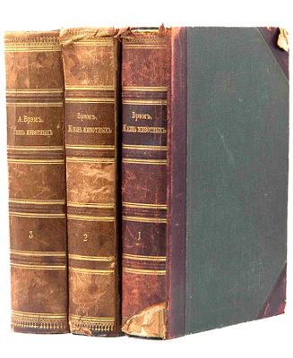 Жизнь животных Брэма: [в 3 т.]. СПб, 1901-1904. Т.1: Полн. пер. со 2-го нем. изд., вновь обраб. 