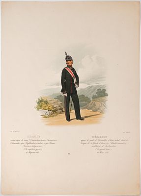 Пиратский К. К. Медик состоящий в чине Действительного Статского Советника при Гвардейских 