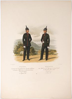 Пиратский К. К. Медики имеющие чина Действительного Статского Советника, состоящие Гвардейских 