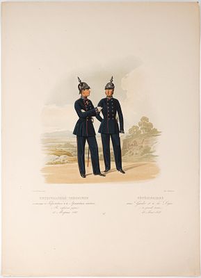 Пиратский К. К. Ветеринарные чиновники, состоящие Гвардейских и Армейских войсках (в парадной 