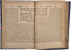 “And... I have seen a copy of the Rebbe shlita's manuscript" (the Yitev Lev). Haggadah with Image - 15