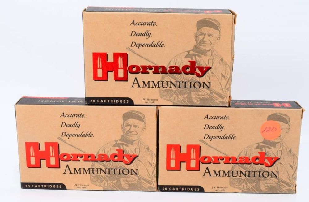 Lot 1189: 60 Rounds of Hornady 7.65 Argentine Ammo