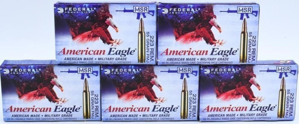 Lot 124: 100 Rounds of Federal 5.56 X 45 NATO Ammunition