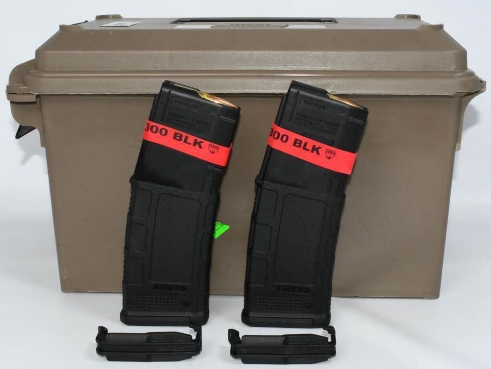 Lot 484: 330 Rds .300 Blackout Ammo W/ Mags & Container