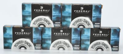 25 Rounds Of Federal 12 Ga Buckshot Shotshells. Secure 25 rounds of Federal 12 Ga Buckshot