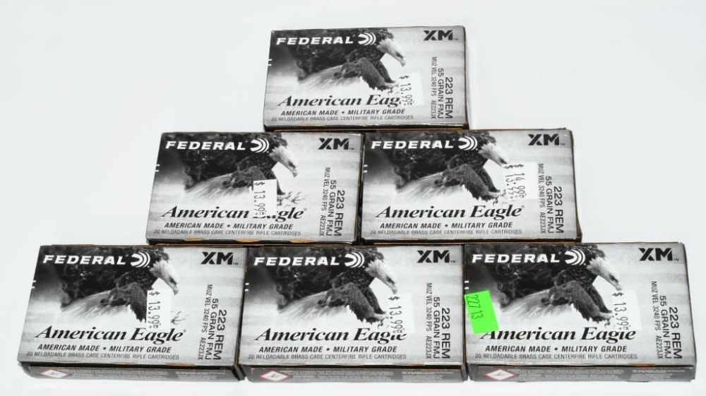 Lot 1108: 120 Rds Of Federal American Eagle .223 Rem