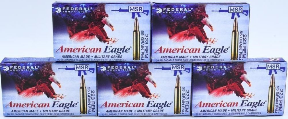 Lot 1873: 100 Rounds of Federal 5.56 X 45 NATO Ammunition