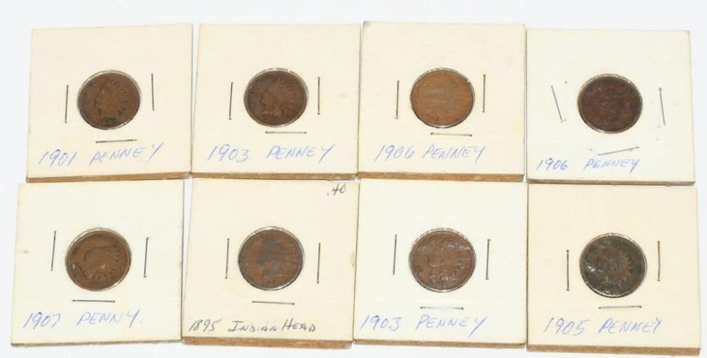 Lot 260: 8 Collector Indian Head Pennies